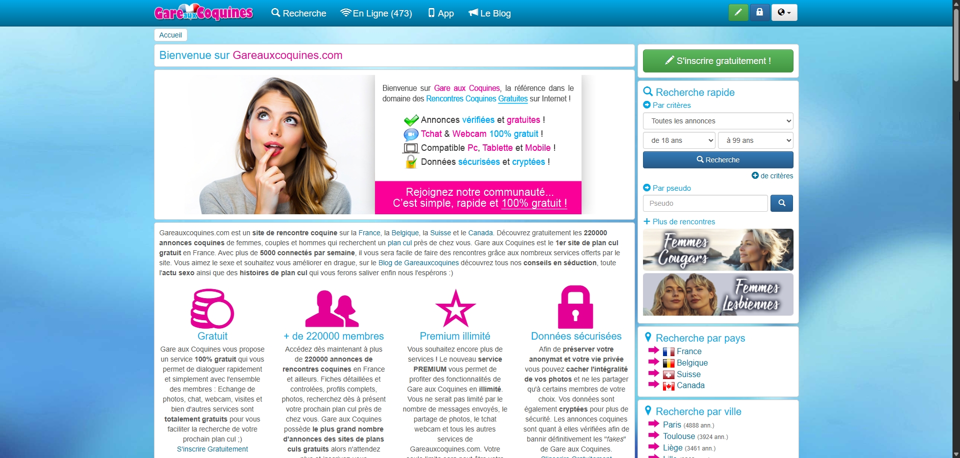 Page d'accueil du site Gare aux Coquines